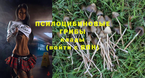 спиды Бронницы
