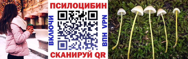 Купить  Правдинск  Псилоцибиновые грибы Magic Shrooms 